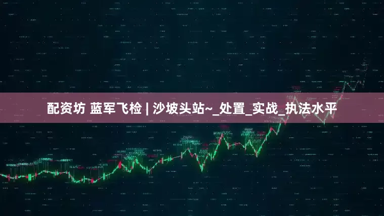 配资坊 蓝军飞检 | 沙坡头站~_处置_实战_执法水平
