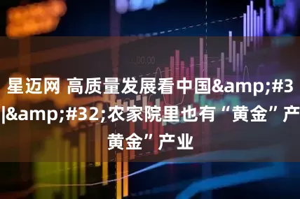 星迈网 高质量发展看中国&#32;|&#32;农家院里也有“黄金”产业