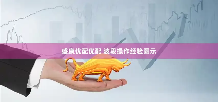 盛康优配优配 波段操作经验图示